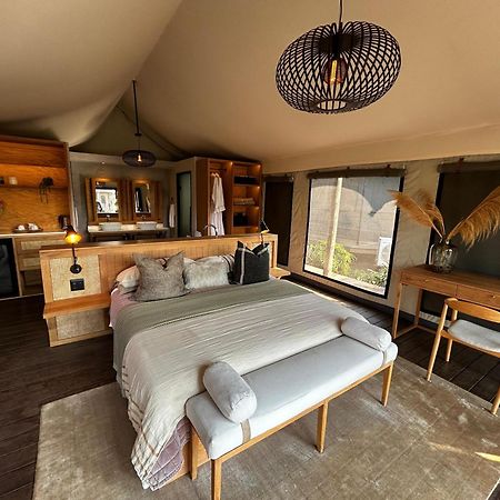 Addo Elephant Safari Lodge - Bellevue Forest Reserve Paterson Exterior foto