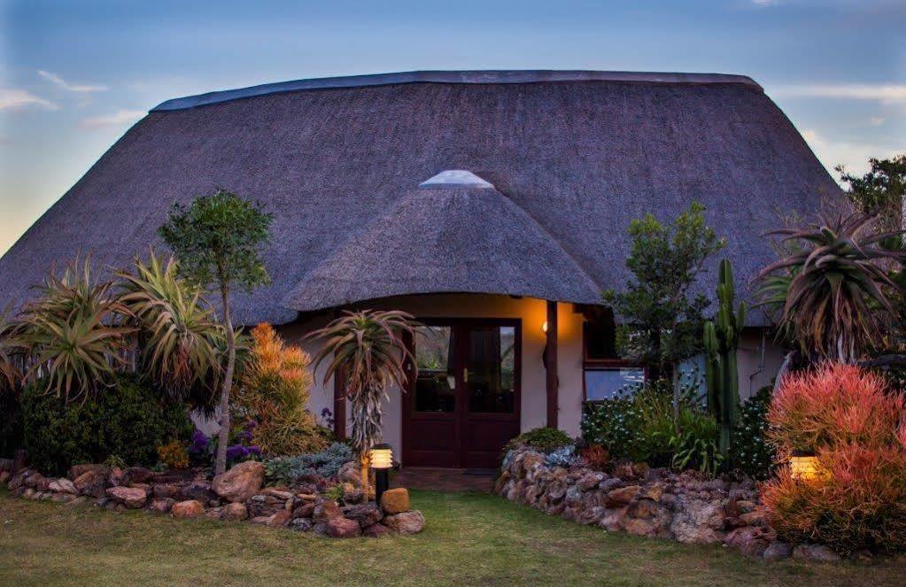 Addo Elephant Safari Lodge - Bellevue Forest Reserve Paterson Exterior foto