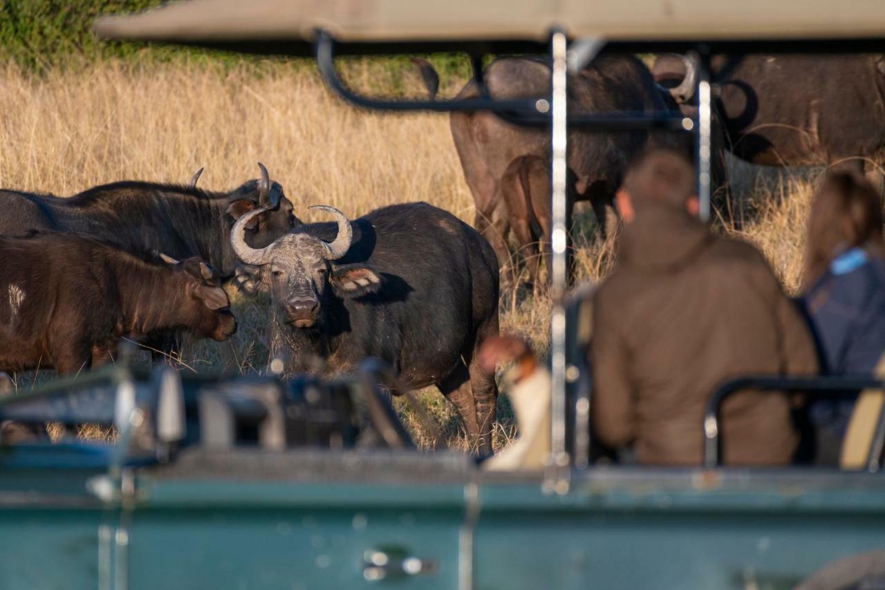 Addo Elephant Safari Lodge - Bellevue Forest Reserve Paterson Exterior foto